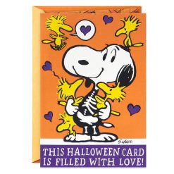 Hallmark - Peanuts Snoopy and Woodstock Love and Jokes Funny Pop-Up Halloween Card