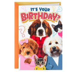 Hallmark - Cats and Dogs Round of Appaws Funny Pop-Up Birthday Card
