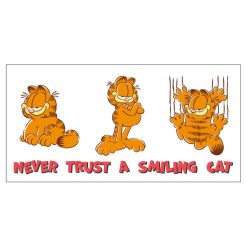 Alternative view of Hallmark - Nickelodeon Garfield Smiling Cat Collectible Drinking Glass, 13.5 oz.